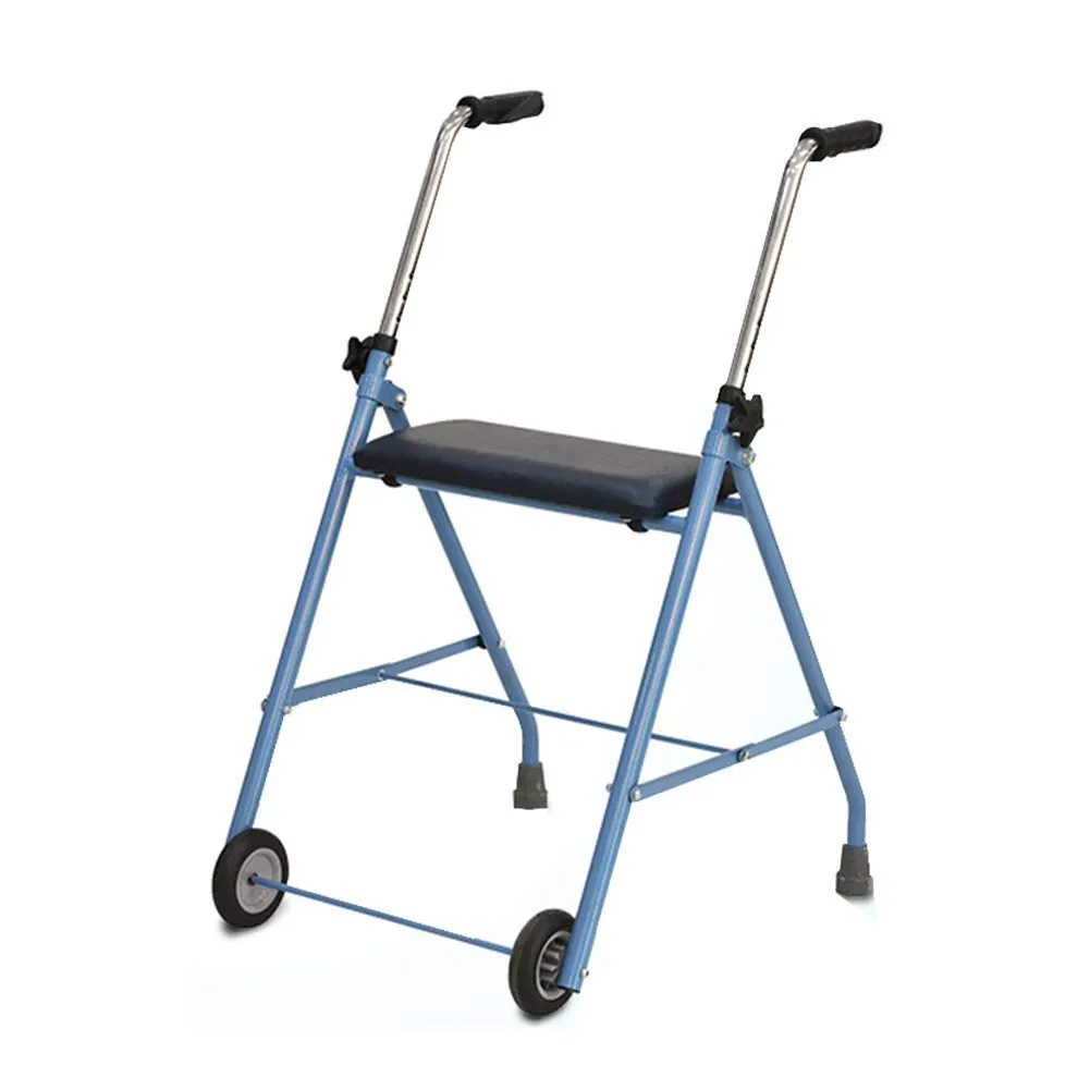 P550E Déambulateur 2 roues