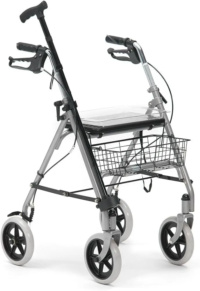 WA006SIL Déambulateur 4 roues